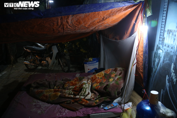 Ảnh: Tiểu thương dựng lều, vạ vật trông đào, quất Tết giữa đêm rét - 3