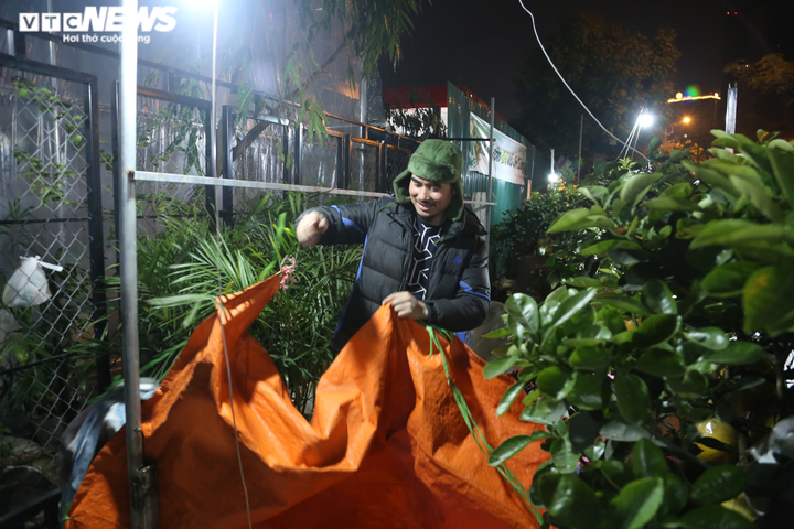 Ảnh: Tiểu thương dựng lều, vạ vật trông đào, quất Tết giữa đêm rét - 9
