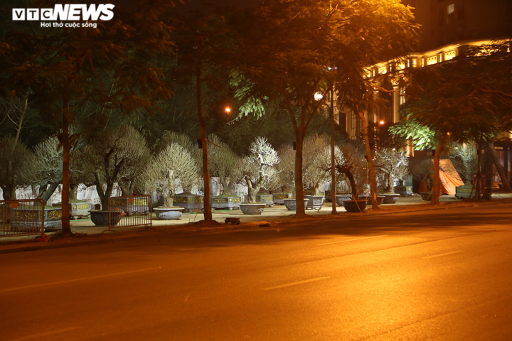 Ảnh: Tiểu thương dựng lều, vạ vật trông đào, quất Tết giữa đêm rét - 1