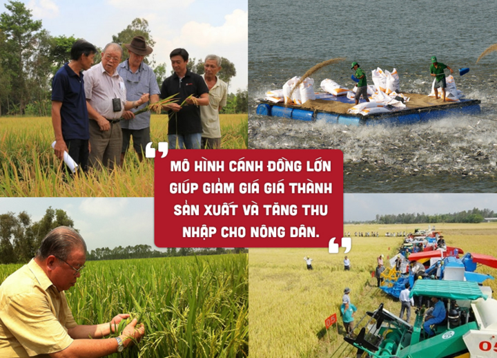 Những đề xuất trước Đại hội Đảng XIII - 4