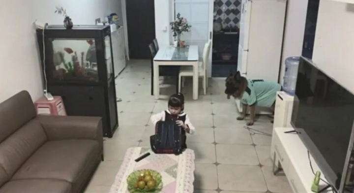 Dân mạng phục lăn chú chó mưu cao, ép bé gái học bài - 7