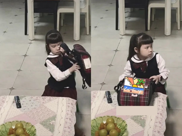 Dân mạng phục lăn chú chó mưu cao, ép bé gái học bài - 4