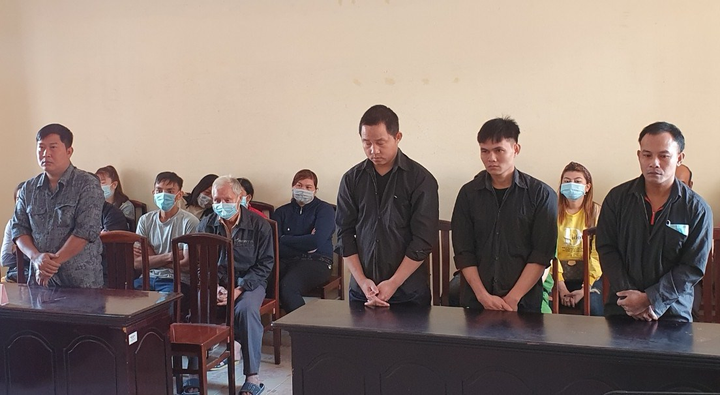 Lượm súng quân dụng về cất giấu, 4 người lãnh án tù - 1