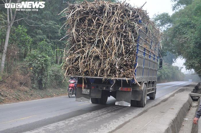 CSGT Thanh Hóa xử lý nhiều xe tải cơi nới thành thùng - 1