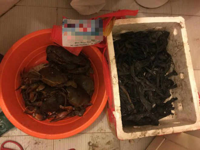 Dân mạng cười phá lên trước loạt ảnh cua biển buộc dây kín mít - 10