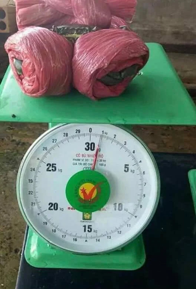 Dân mạng cười phá lên trước loạt ảnh cua biển buộc dây kín mít - 8