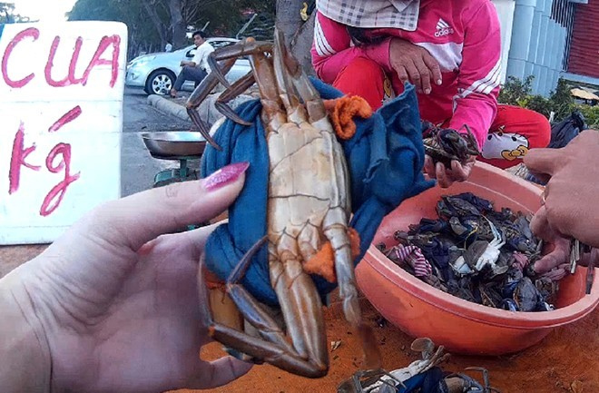 Dân mạng cười phá lên trước loạt ảnh cua biển buộc dây kín mít - 12