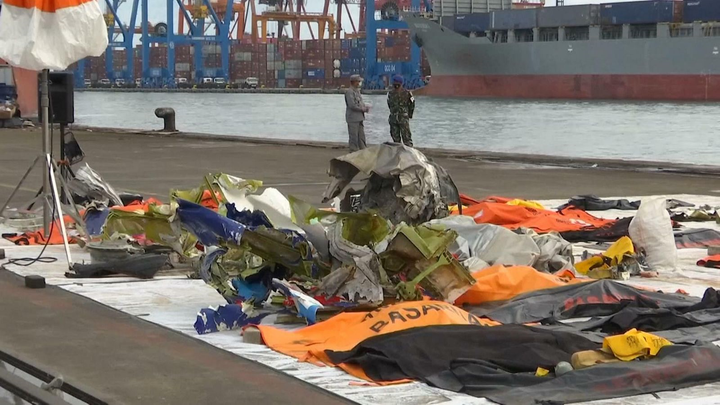 Thu thập thành công dữ liệu hộp đen máy bay rơi ở Indonesia - 1