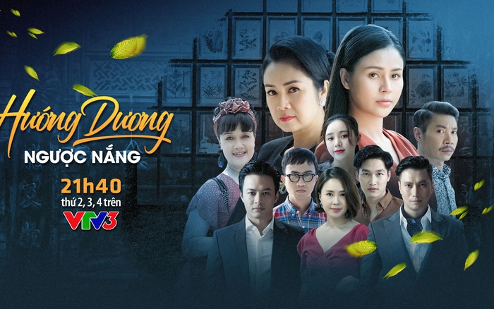Vì sao phim 'Hướng dương ngược nắng' hút khán giả? - 1