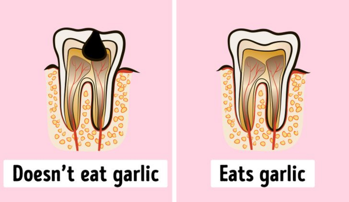Điều gì xảy ra nếu ngày nào bạn cũng ăn tỏi? - 6