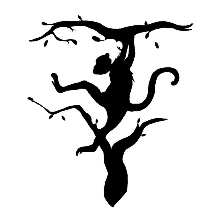 Trắc nghiệm vui đoán tính cách: Bạn nhìn thấy con hổ hay con khỉ? - 1