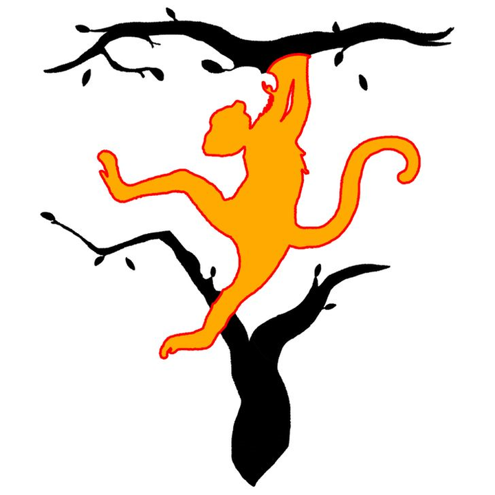 Trắc nghiệm vui đoán tính cách: Bạn nhìn thấy con hổ hay con khỉ? - 3