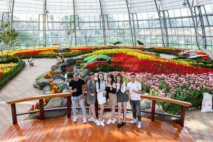 Khám phá 'mùa hoa Hà Lan' sớm nhất thế giới tại đảo nhiệt đới Hòn Tre - 5