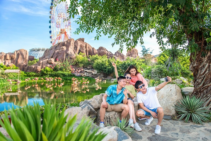 Khám phá 'mùa hoa Hà Lan' sớm nhất thế giới tại đảo nhiệt đới Hòn Tre - 8