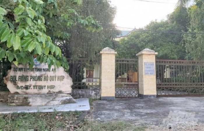 Khởi tố, bắt tạm giam hai cán bộ bán rừng phòng hộ - 1