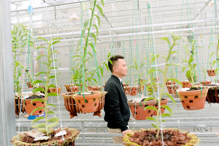 Chàng trai trẻ Công Hậu sở hữu vườn mộc hương, lan đột biến quý hiếm - 3