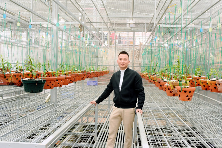 Chàng trai trẻ Công Hậu sở hữu vườn mộc hương, lan đột biến quý hiếm - 4