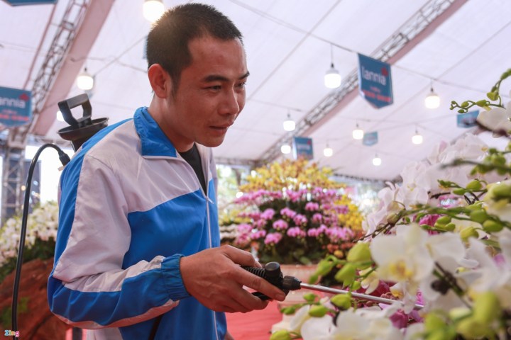 Giá cả trăm triệu đồng, lan hồ điệp vẫn 'cháy' hàng - 10