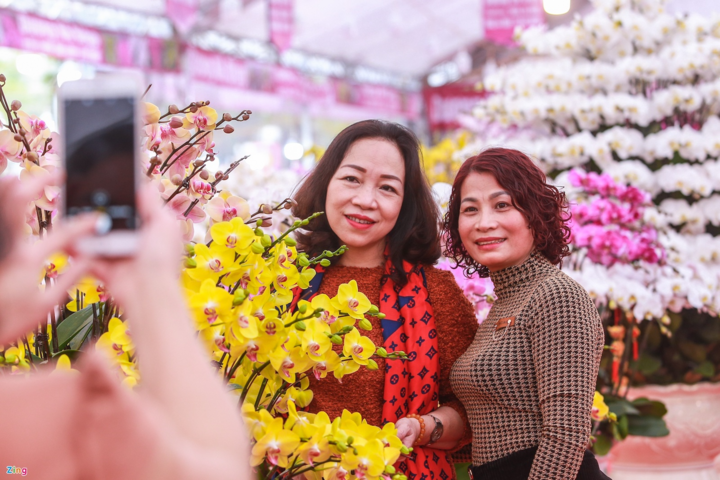 Giá cả trăm triệu đồng, lan hồ điệp vẫn 'cháy' hàng - 11