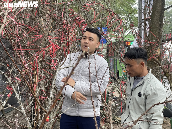 Ảnh: Đào gắn 'tem truy xuất' đổ bộ Hà Nội, đắt nhất giá 30 triệu đồng - 6