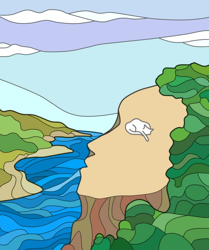 Trắc nghiệm vui đoán tính cách: Bạn nhìn thấy con thuyền hay cá sấu? - 3