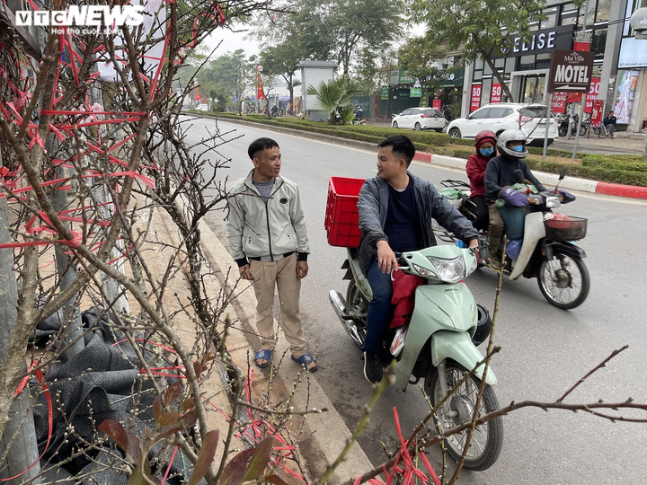 Ảnh: Đào gắn 'tem truy xuất' đổ bộ Hà Nội, đắt nhất giá 30 triệu đồng - 3