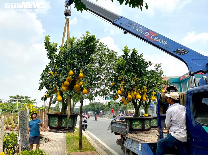 Người Sài Gòn lái xế xịn rủ nhau đi tậu bưởi Diễn trưng Tết - 2