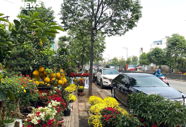 Người Sài Gòn lái xế xịn rủ nhau đi tậu bưởi Diễn trưng Tết - 1