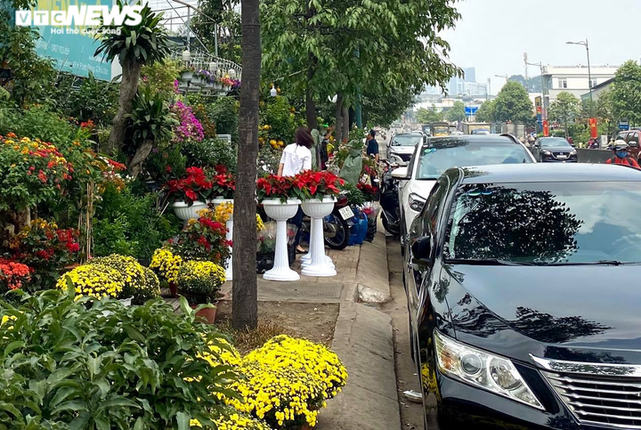 Người Sài Gòn lái xế xịn rủ nhau đi tậu bưởi Diễn trưng Tết - 6