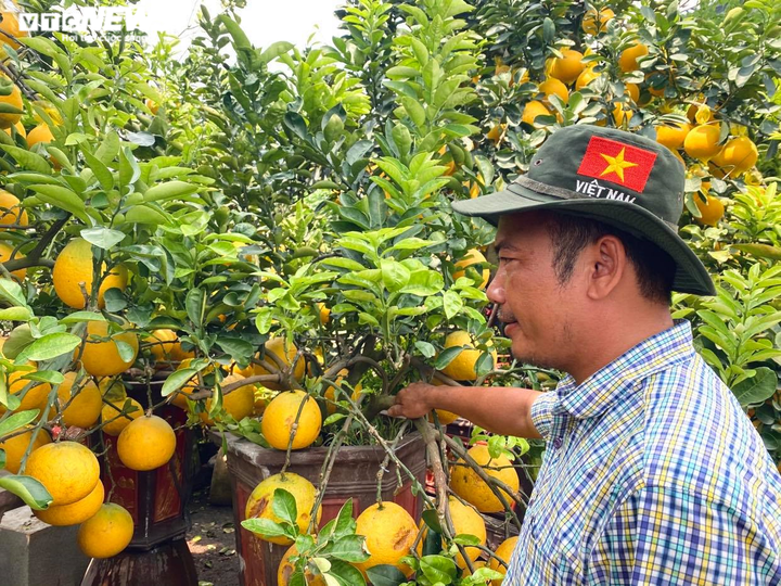 Người Sài Gòn lái xế xịn rủ nhau đi tậu bưởi Diễn trưng Tết - 9