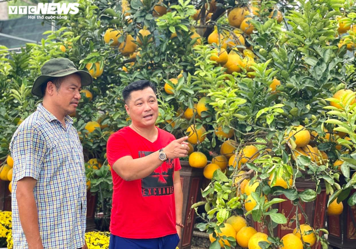 Người Sài Gòn lái xế xịn rủ nhau đi tậu bưởi Diễn trưng Tết - 7