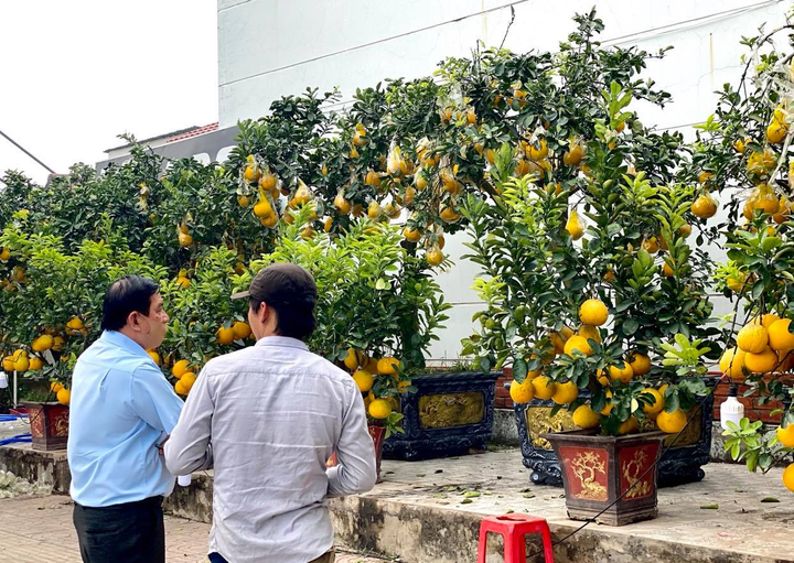 Người Sài Gòn lái xế xịn rủ nhau đi tậu bưởi Diễn trưng Tết - 8