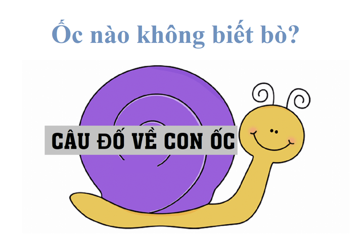 Đố mẹo 3 giây cho người IQ cao: Ốc nào không biết bò? - 1
