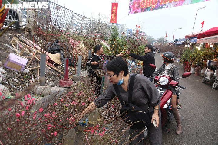 Đào Nhật Tân rực rỡ xuống phố, khách háo hức mua - 11