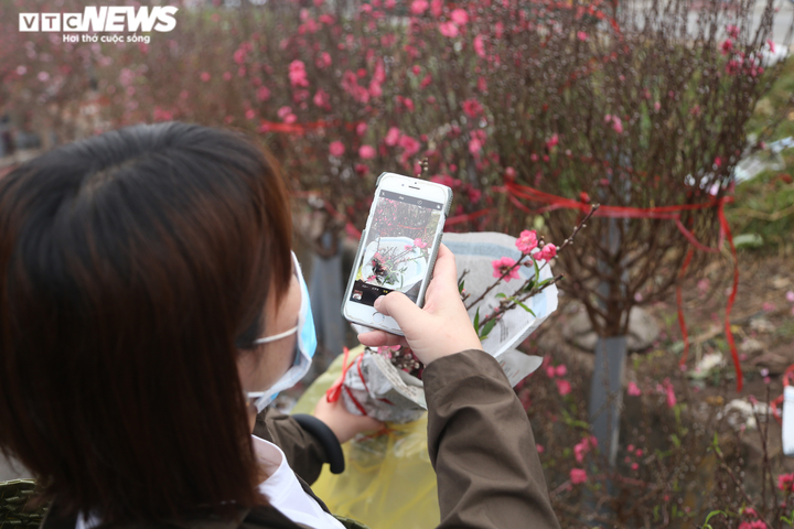 Đào Nhật Tân rực rỡ xuống phố, khách háo hức mua - 8