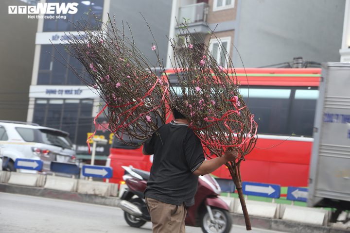 Đào Nhật Tân rực rỡ xuống phố, khách háo hức mua - 5