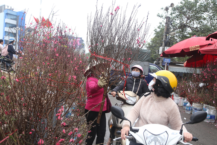 Đào Nhật Tân rực rỡ xuống phố, khách háo hức mua - 10