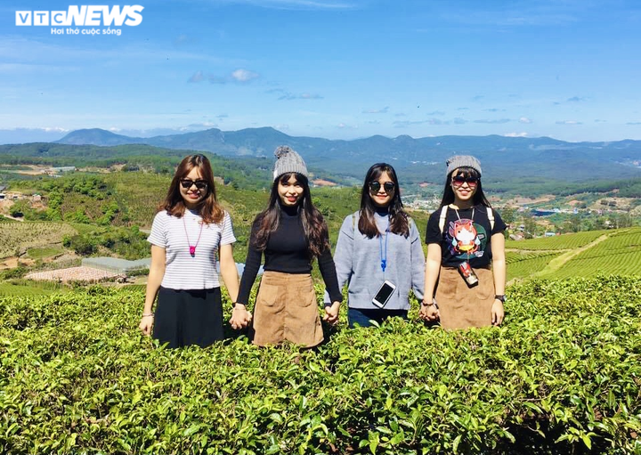 Ảnh: Ngỡ ngàng trước vẻ đẹp xanh mát của đồi chè 'vạn người mê' ở Đà Lạt - 5