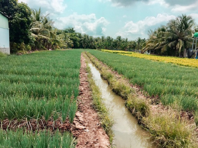 Phân bón Phú Mỹ ra mắt sản phẩm mới Đạm Phú Mỹ + KeBo - 2