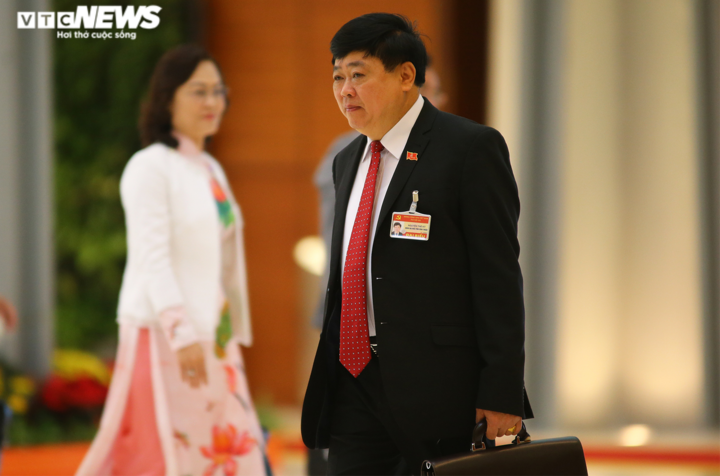 Ảnh: Đại biểu dự khai mạc Đại hội Đại biểu toàn quốc lần thứ XIII của Đảng - 3