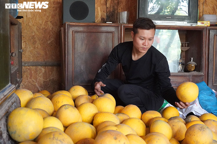 Thủ phủ bưởi Diễn bội thu những ngày giáp Tết Nguyên đán - 9