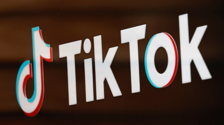 Ấn Độ cấm vĩnh viễn TikTok - 1