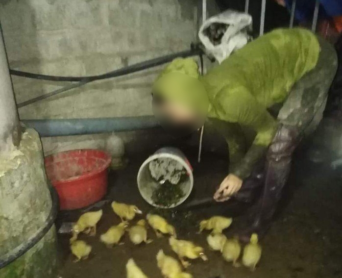 Cận Tết Nguyên đán, giáo viên tranh thủ bán xôi, đi giao hàng để tăng thu nhập - 2