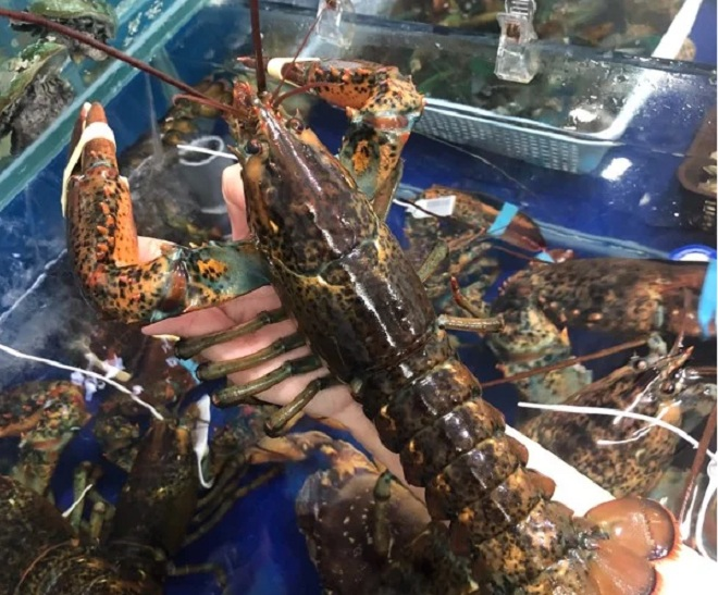 Đi máy bay về Việt Nam, đặc sản ngoại đắt cỡ nào dịp Tết? - 3