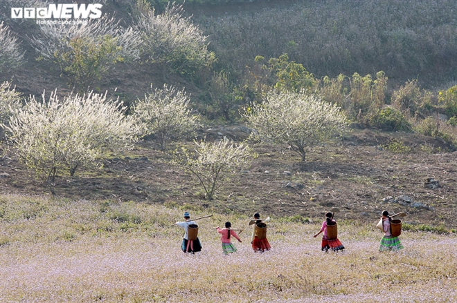 Tết Nguyên đán Tân Sửu 2021 đi đâu, chơi gì? - 2