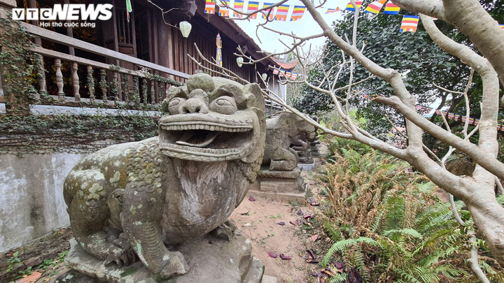 Khám phá chùa Phật Tích nghìn năm tuổi qua góc máy từ trên cao - 4