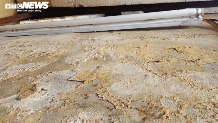 Tết của cặp vợ chồng già hơn 30 năm sống trên nóc nhà vệ sinh phố cổ Hà Nội - 10