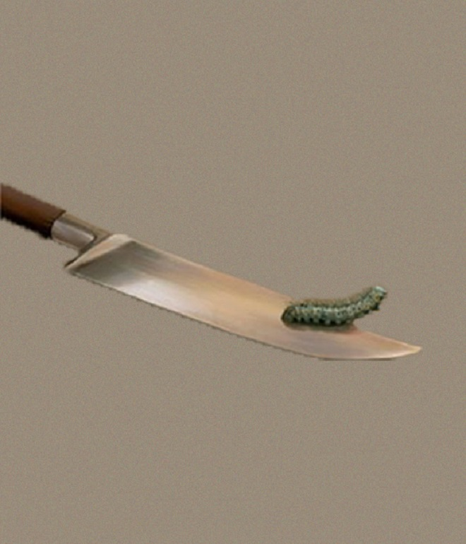 Trắc nghiệm vui: Khám phá nỗi sợ tiềm ẩn qua hình ảnh bạn thấy đầu tiên - 2