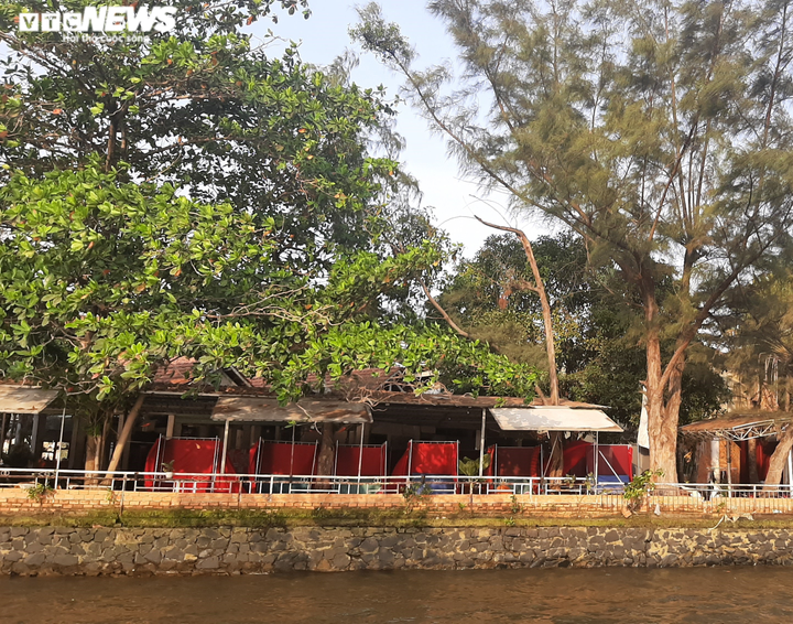 Ảnh: Ngắm trọn cảnh ven sông Sài Gòn với buýt hiện đại - 6