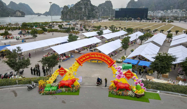 TP Hạ Long vẫn tổ chức Hội chợ hoa Xuân 2021 và bắn pháo hoa đêm Giao thừa - 1